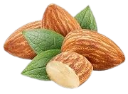 Sweet Almond